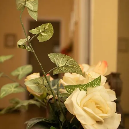 Apartment Casa Abba Alessandria